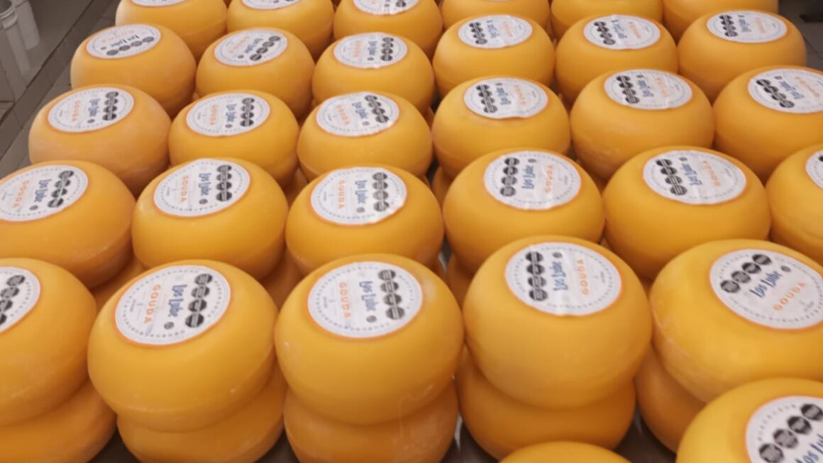 Quesos «Los Lube», una tradición que sigue creciendo en Los Toldos