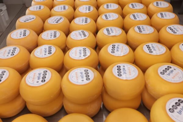 Quesos «Los Lube», una tradición que sigue creciendo en Los Toldos